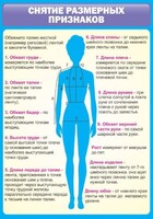 Стенд "Снятие мерок" Вариант 2 - fgospostavki.ru - Саратов