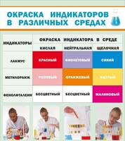 Стенд "Окраска индикаторов в различных средах" - fgospostavki.ru - Саратов