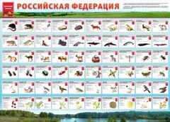 Стенд "Красная книга РФ" - fgospostavki.ru - Саратов