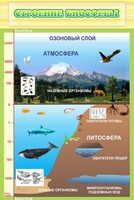 Стенд "Строение биосферы" - fgospostavki.ru - Саратов