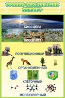 Стенд "Уровни организации живого" - fgospostavki.ru - Саратов