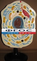 Модель "Клетка животного" - fgospostavki.ru - Саратов