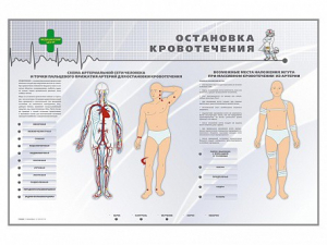 Электрифицированный стенд "Остановка кровотечения" - fgospostavki.ru - Саратов