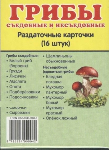 Раздаточные карточки "Грибы съедобные и не съедобные" - fgospostavki.ru - Саратов