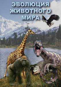 DVD "Эволюция животного мира" - fgospostavki.ru - Саратов