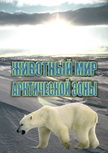 DVD "Животный мир Арктической зоны" - fgospostavki.ru - Саратов