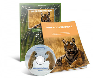 Электронное наглядное пособие «Млекопитающие» - fgospostavki.ru - Саратов