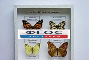 Коллекция "Семейство бабочек" - fgospostavki.ru - Саратов