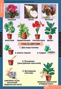 Комплект таблиц. Окружающий мир 1 класс. - fgospostavki.ru - Саратов