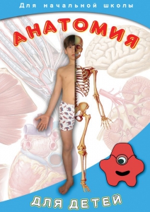 DVD "Анатомия для детей" - fgospostavki.ru - Саратов