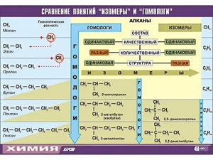 Таблица демонстрационная "Сравнение понятий изомер и гомолог" (винил 70x100) - fgospostavki.ru - Саратов