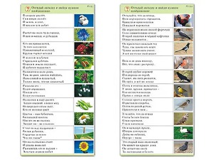 Комплект карточек (10) "Обучающий калейдоскоп. Природа" - fgospostavki.ru - Саратов