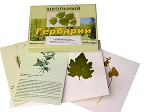 Гербарий "Систематика растений. Высшие споровые и семенные" (раздаточный) - fgospostavki.ru - Саратов