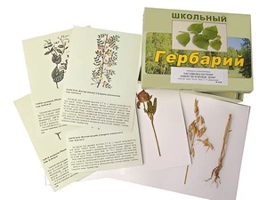 Гербарий "Систематика растений. Семейство Бобовые. Злаки" (раздаточный) - fgospostavki.ru - Саратов