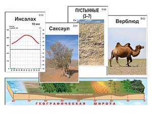 Модель-аппликация "Природные зоны" - fgospostavki.ru - Саратов