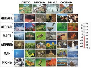 Фенологические наблюдения - fgospostavki.ru - Саратов