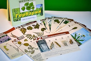 Гербарий к курсу основ общей биологии - fgospostavki.ru - Саратов