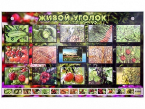 Комплект оборудования "Живой уголок" (растения) с тифлопереводом и сурдокомментариями - fgospostavki.ru - Саратов