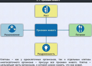 Интерактивные курсы. Биология 5 класс. Базовый - fgospostavki.ru - Саратов