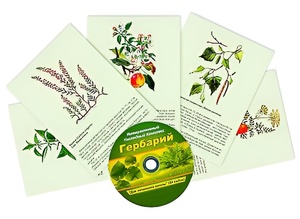 Интерактивный наглядный комплекс "Гербарий "Для начальной школы" - fgospostavki.ru - Саратов