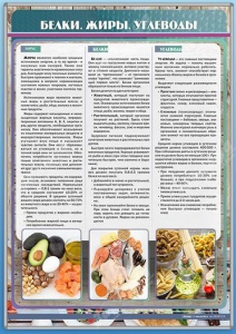 Стенд "Белки. Жиры. Углеводы" - fgospostavki.ru - Саратов