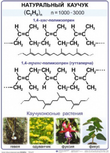 Комплект демонстрационных таблиц по химии "Полимеры" (комплект 12 таблиц) - fgospostavki.ru - Саратов