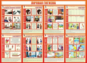 Стенд "Личная гигиена" - fgospostavki.ru - Саратов