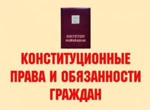 Комплект плакатов "Конституционные права и обязанности граждан" - fgospostavki.ru - Саратов
