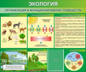 Стенд "Экология. Организация и функционирование сообществ" - fgospostavki.ru - Саратов