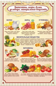 Стенд "Витамины, жиры, белки" - fgospostavki.ru - Саратов