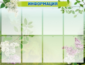 Стенд "Информация" Вариант 13 - fgospostavki.ru - Саратов
