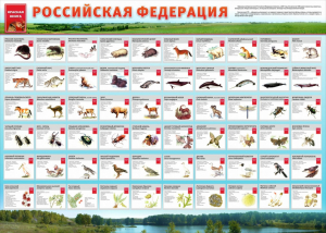 Стенд "Красная книга РФ" - fgospostavki.ru - Саратов