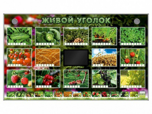 Комплект оборудования "Живой уголок" (растения) - fgospostavki.ru - Саратов