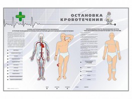 Электрифицированный стенд "Остановка кровотечения" - fgospostavki.ru - Саратов