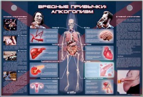Электрифицированный стенд "Вредные привычки: алкоголизм" - fgospostavki.ru - Саратов
