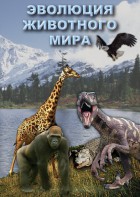 DVD "Эволюция животного мира" - fgospostavki.ru - Саратов