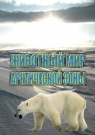 DVD "Животный мир Арктической зоны" - fgospostavki.ru - Саратов