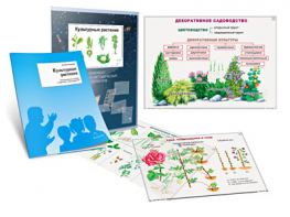 Комплект кодотранспарантов "Культурные растения" - fgospostavki.ru - Саратов