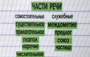 Набор магнитных карточек "Части речи" (фон зелёный) - fgospostavki.ru - Саратов