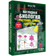 Наглядная биология. 6 класс. Растения. Грибы. Бактерии - fgospostavki.ru - Саратов