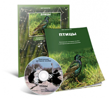 Электронное наглядное пособие «Птицы» - fgospostavki.ru - Саратов