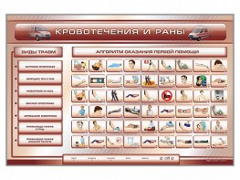 Трехсекционный базовый комплект "Травмы. Кровотечения. Ожоги" для учащихся общеобразовательных учреждений - fgospostavki.ru - Саратов