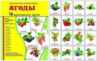 Демонстрационные карточки "Ягоды" - fgospostavki.ru - Саратов