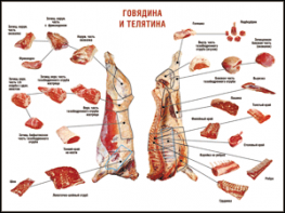 Таблица "Правила разделки мясных туш. Говядина и телятина" (100х140 сантиметров, винил) - fgospostavki.ru - Саратов