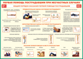 Таблица "Общий порядок оказания первой помощи пострадавшим" (100х140 сантиметров, винил) - fgospostavki.ru - Саратов