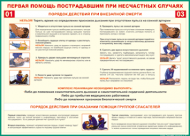Таблица "Порядок действий при внезапной смерти" (100х140 сантиметров, винил) - fgospostavki.ru - Саратов
