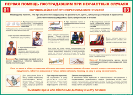Таблица "Порядок действий при переломах конечностей" (100х140 сантиметров, винил) - fgospostavki.ru - Саратов