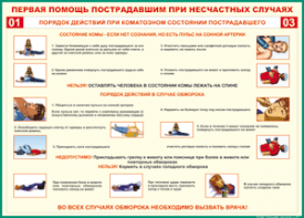 Таблица "Порядок действий при коматозном состоянии пострадавшего" (100х140 сантиметров, винил) - fgospostavki.ru - Саратов