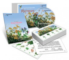 Комбинированное наглядное пособие «Растения» - fgospostavki.ru - Саратов