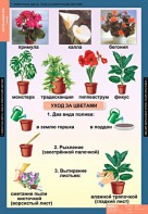 Комплект таблиц. Окружающий мир 1 класс. - fgospostavki.ru - Саратов